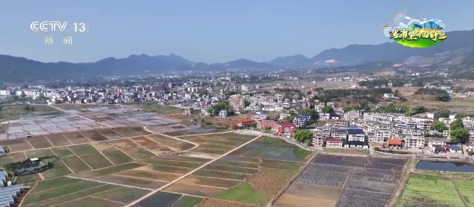 AI模型、“北斗”、物聯(lián)網(wǎng)……智慧農(nóng)業(yè)成為田間地頭新常態(tài)(圖13)